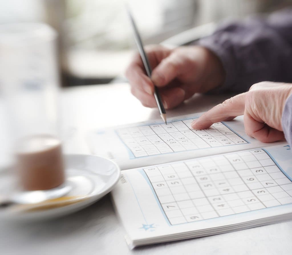 Plaisirs du problème puzzles