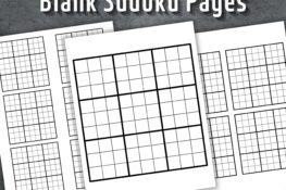 Découvrez Kemaru : un jeu gratuit qui va vous surprendre ! - Grilles Sudoku