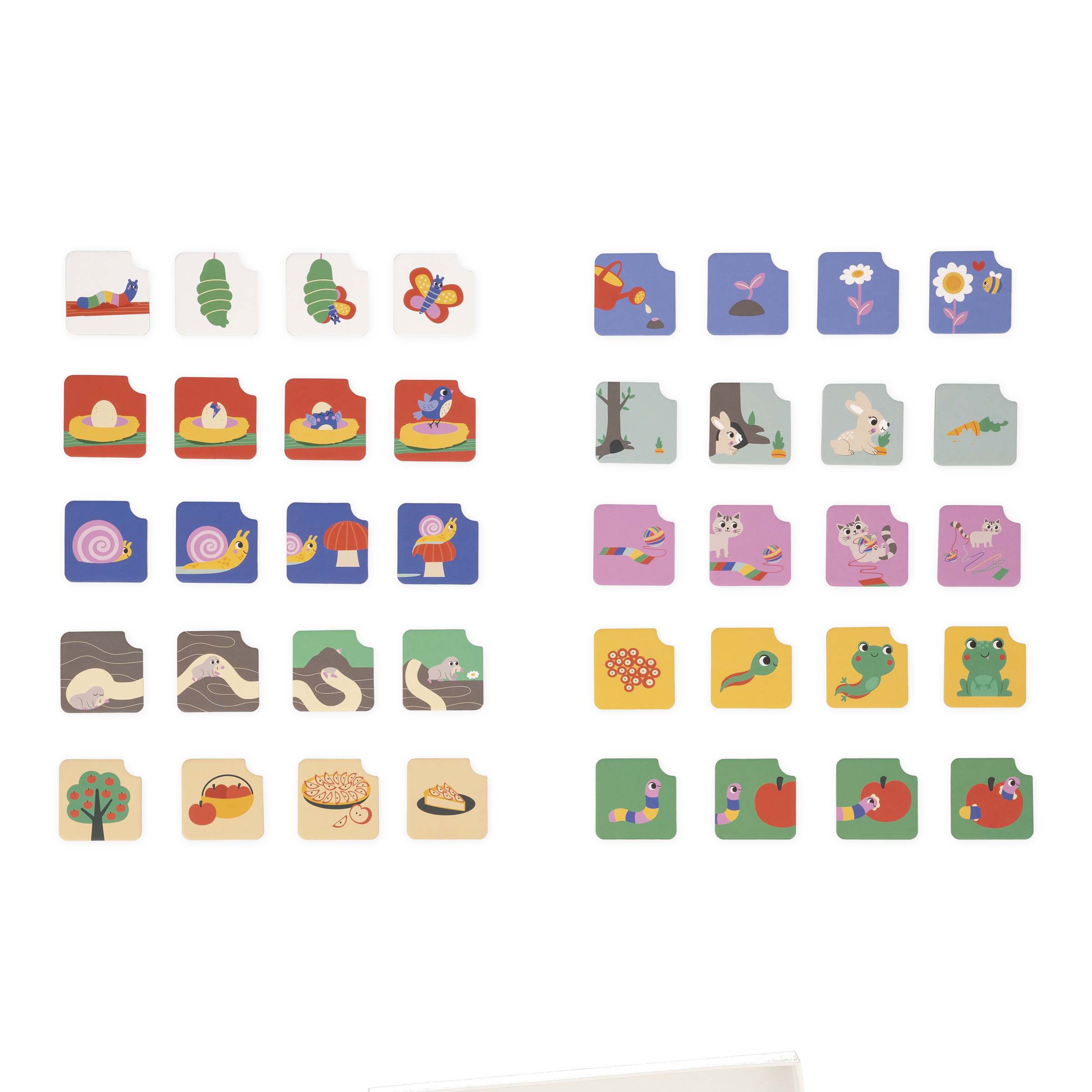 Cartes Sequence Kids