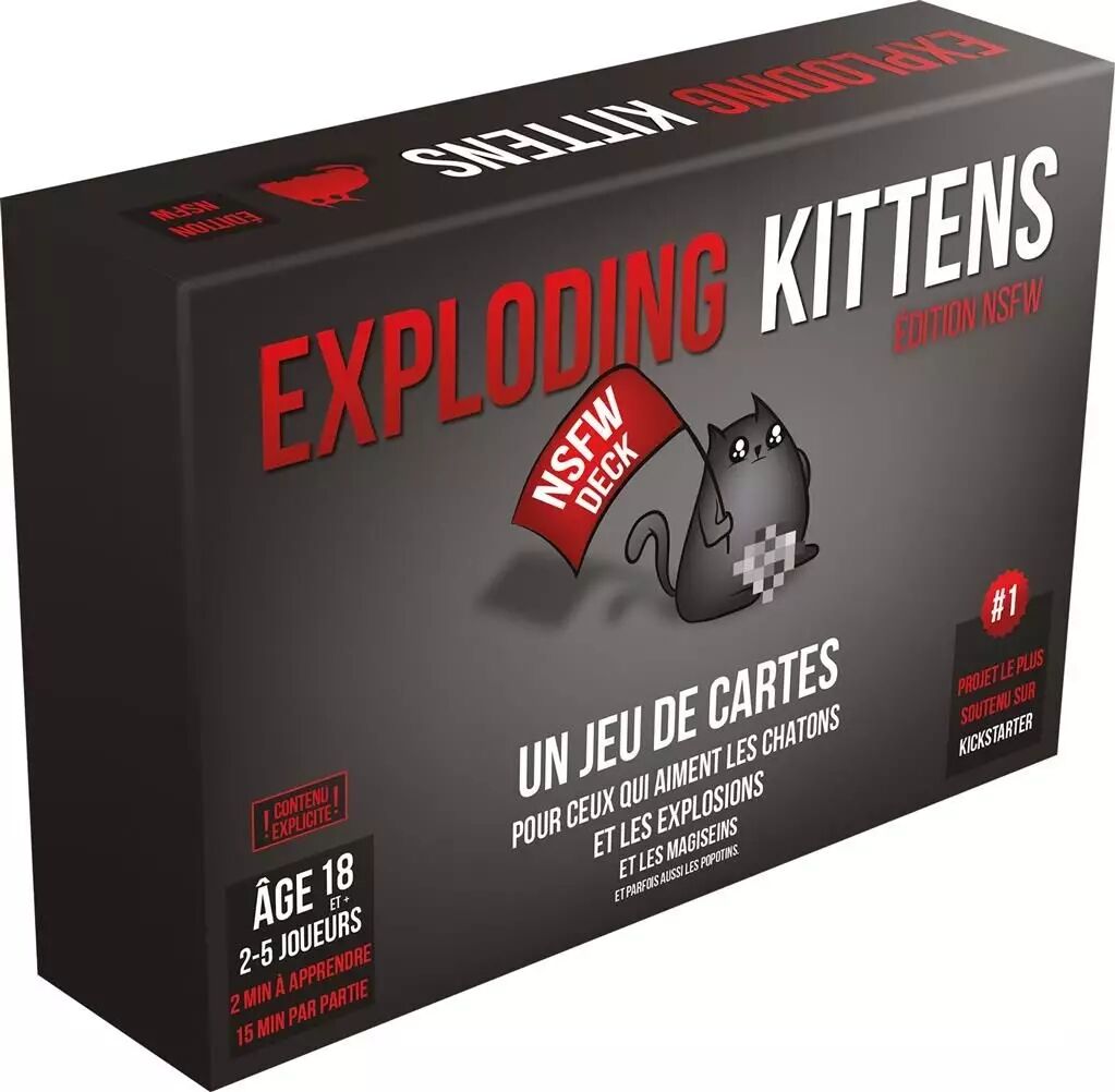Jeu Exploding Kittens version NSFW en cours